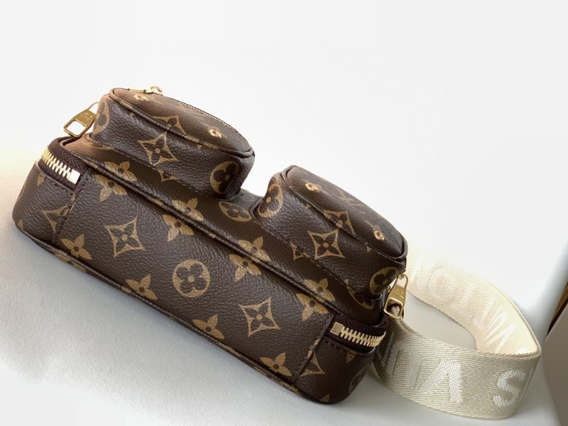 LV Satchel bags